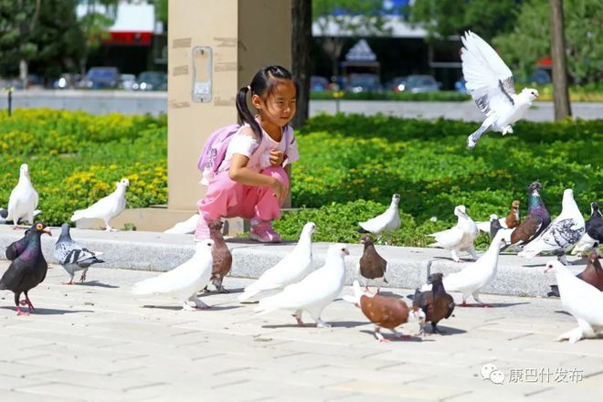 星空体育喜迎党代会丨这就是我们的家：“花”盛放 “果”飘香(图3)