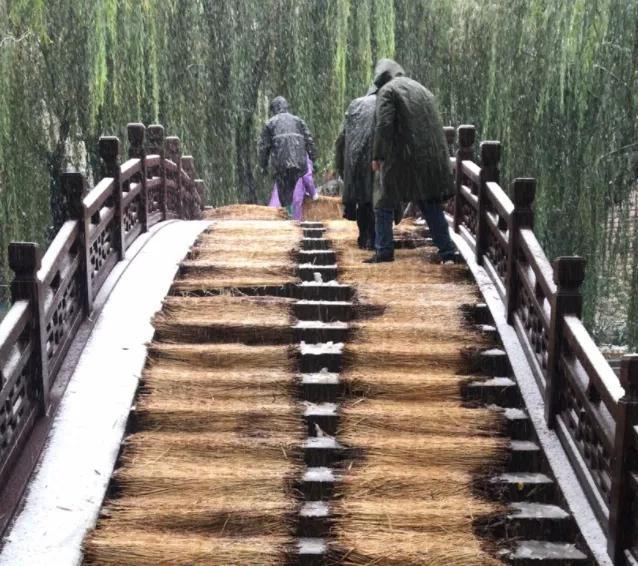 星空体育(中国)官方网站铺设毛毡、草苫子、防滑垫……天下第一泉风景区多措并举积极(图2)