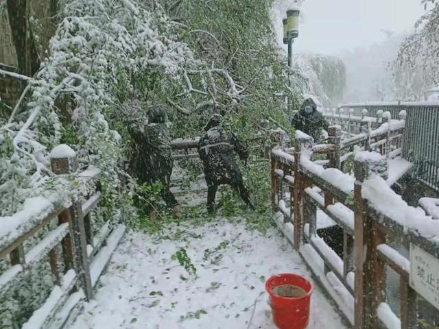 星空体育(中国)官方网站铺设毛毡、草苫子、防滑垫……天下第一泉风景区多措并举积极(图4)